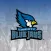 R.I.S.E. Blue Jay Nation Rewards Program