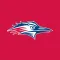 MSU Denver Roadrunners