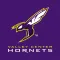 Valley Center Hornets