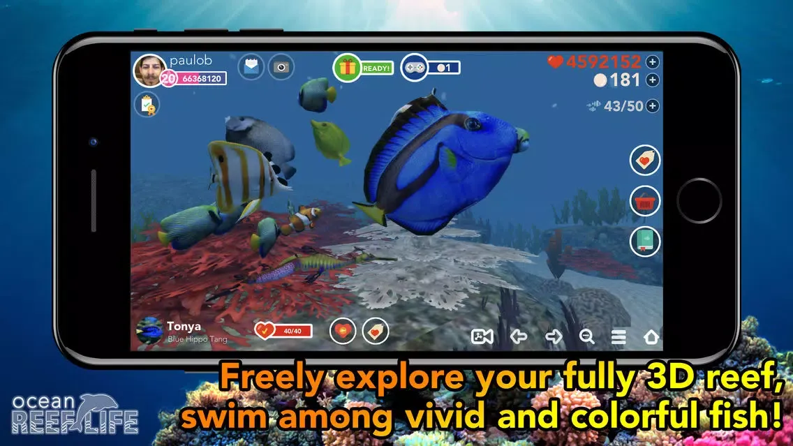 Ocean Reef Life - 3D Aquarium Screenshots