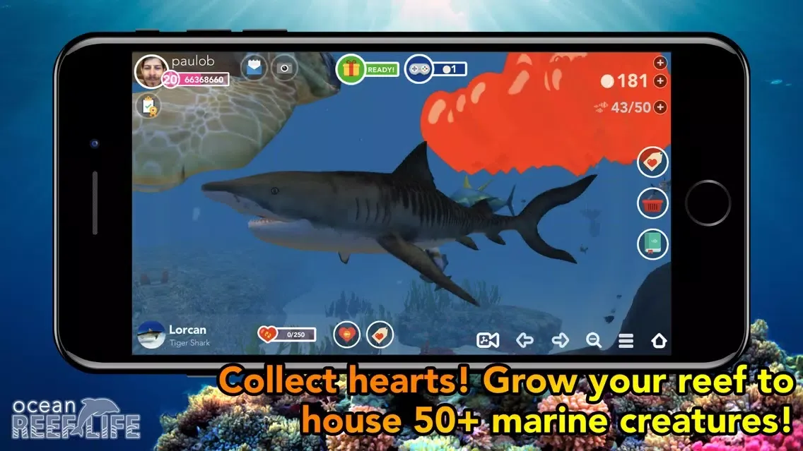 Ocean Reef Life - 3D Aquarium Screenshots