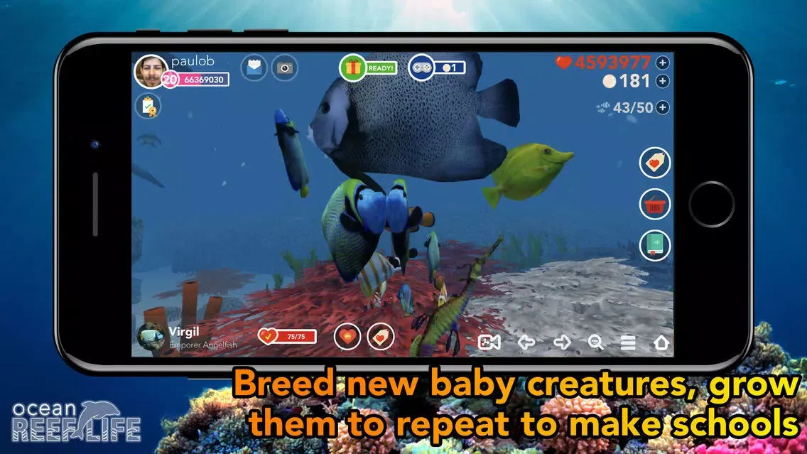 Ocean Reef Life - 3D Aquarium Screenshots