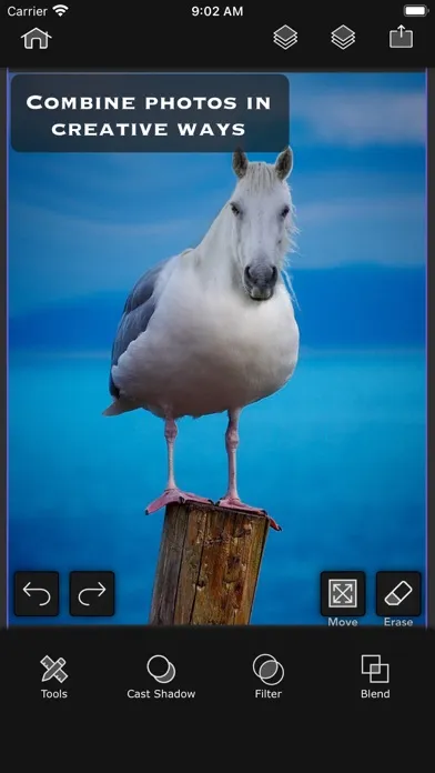 Superimpose AI - BG Editor Ekran Görüntüleri
