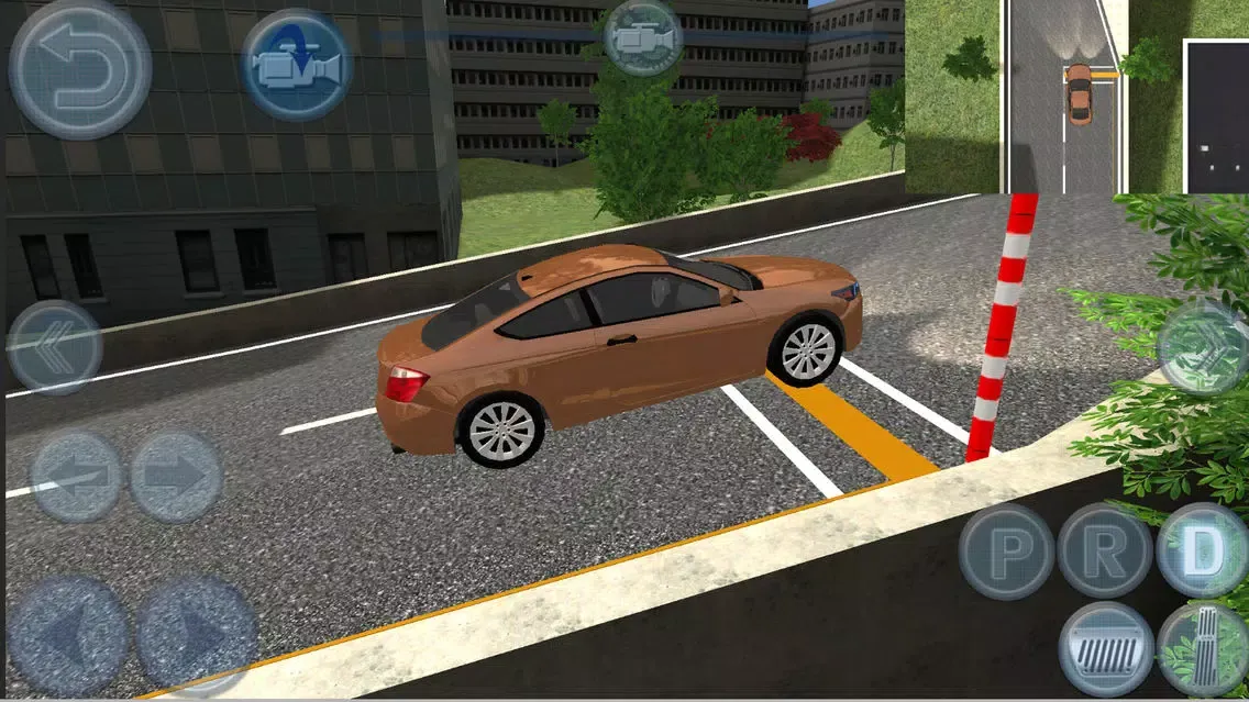 ภาพหน้าจอของ Chinese driver's license