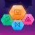 Hexa Puzzle Game+