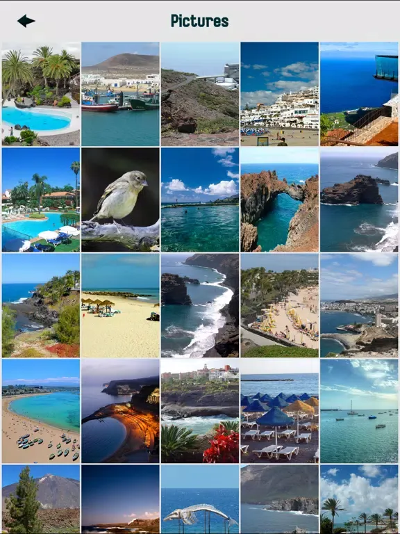 Tangkapan skrin Canary Islands Tourism iPad 