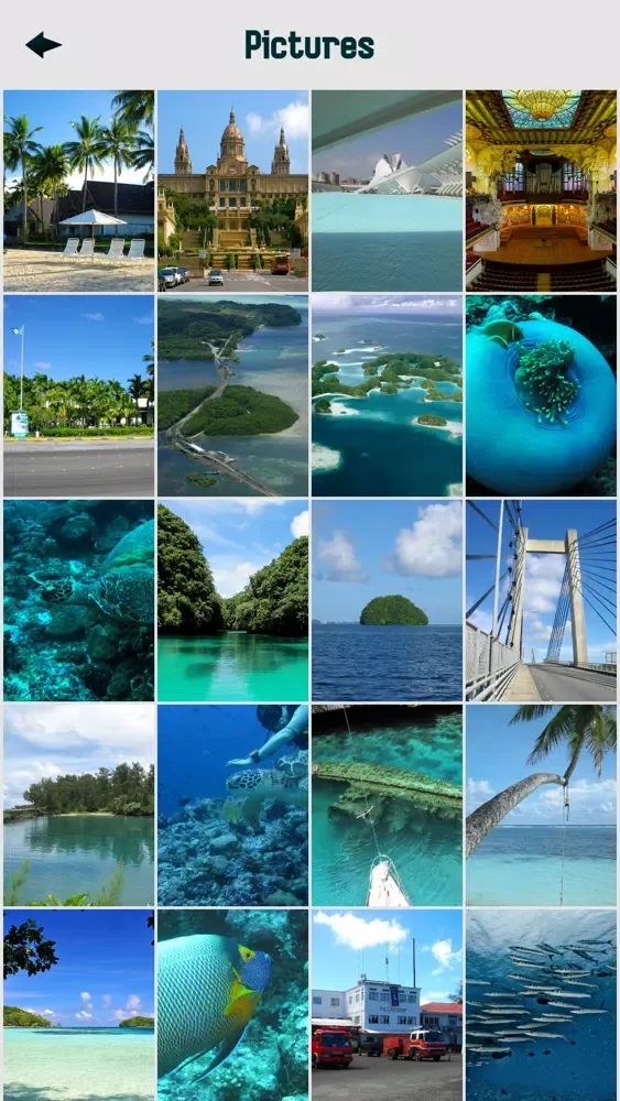 Palau Island Tourism应用截图