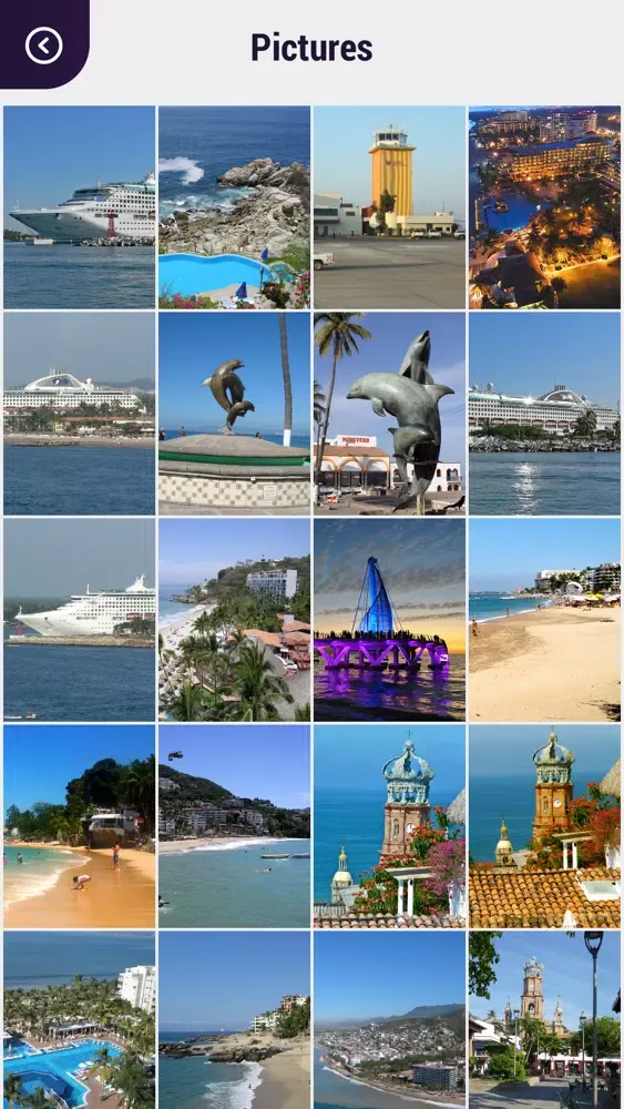 Visit Puerto Vallarta Screenshots