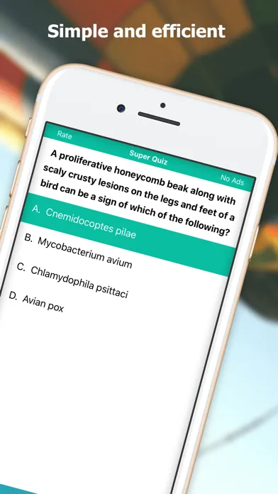 Скриншоты VTNE Test