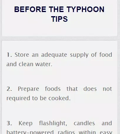 Typhoon Survival Tips Screenshots