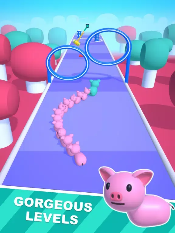 Ảnh chụp màn hình của Pet Run 3D iPad 