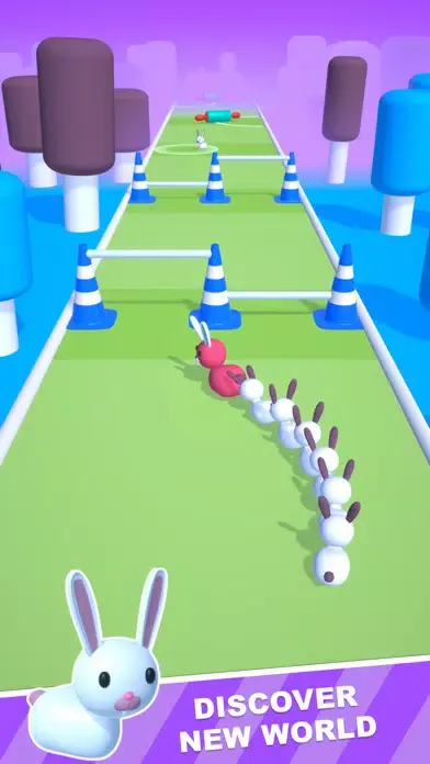 Ảnh chụp màn hình của Pet Run 3D