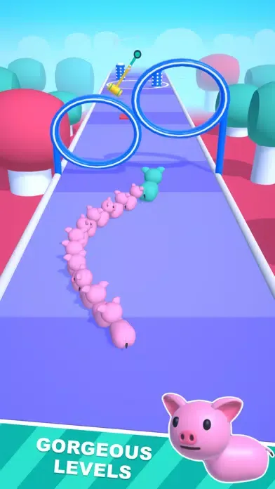 Ảnh chụp màn hình của Pet Run 3D