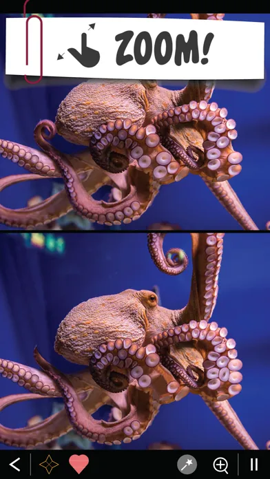 Find the differences 750+ Ekran Görüntüleri