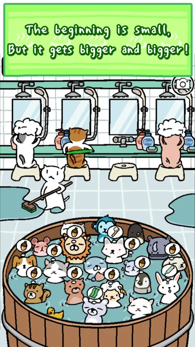 Animal Hot Springs Screenshots
