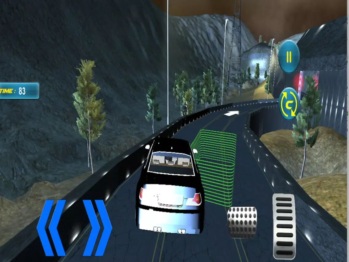 Police Car Driving Sim iPad 应用截图