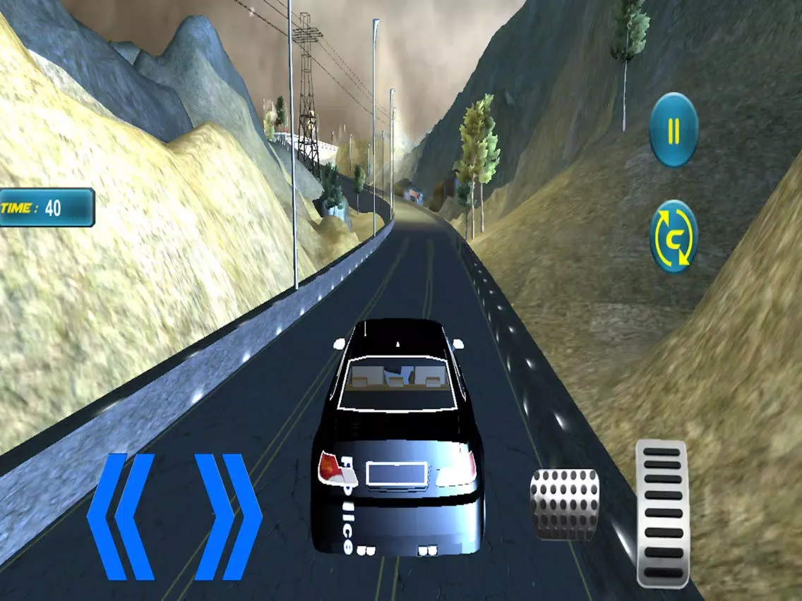 Police Car Driving Sim iPad 应用截图