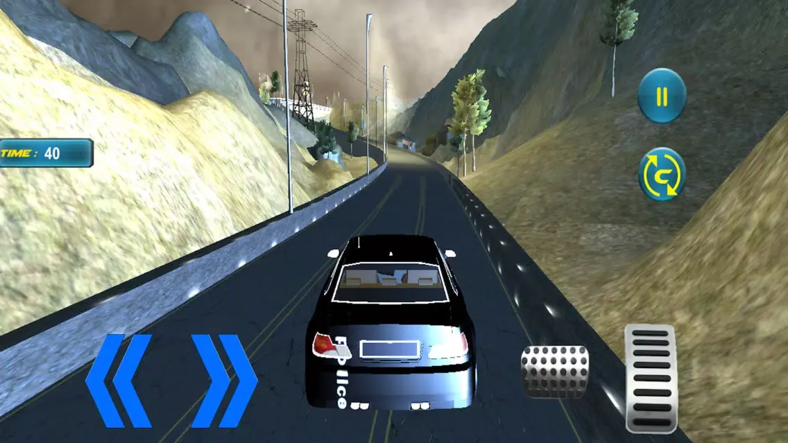 Police Car Driving Sim应用截图