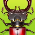 Forest Bugs - full version Forest Bugs - full version