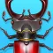 Forest Bugs - an insects in fairytale world