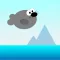 Parker the Seal
