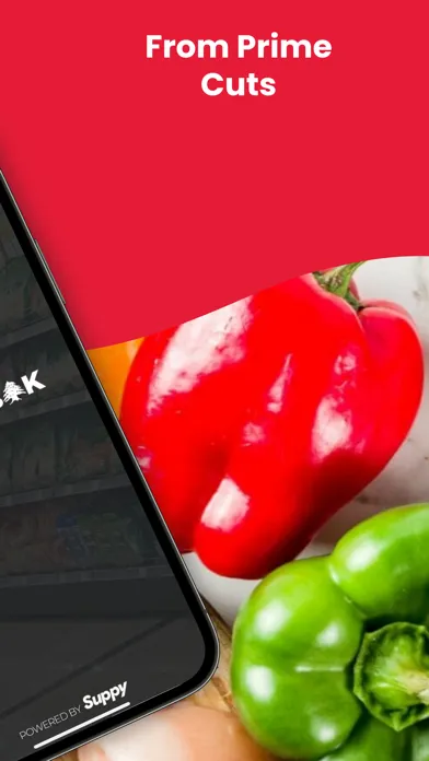 Baalbak Gourmet স্ক্রিনশট