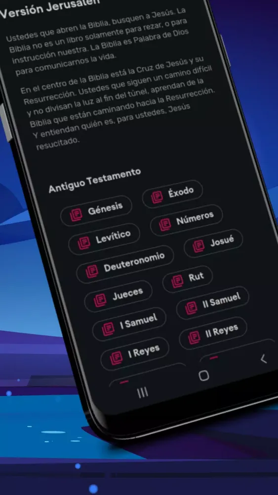 Скриншоты Rincón de Apologética Católica