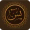 Surah Yasin | Surah Yaseen