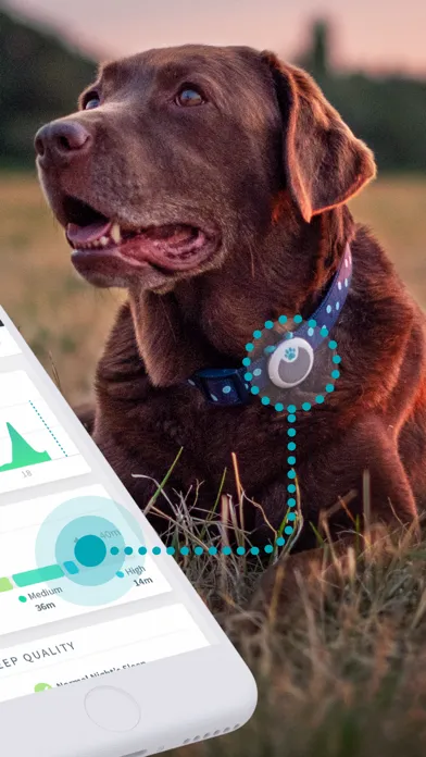 Captures d'écran de Sure Petcare - Animo