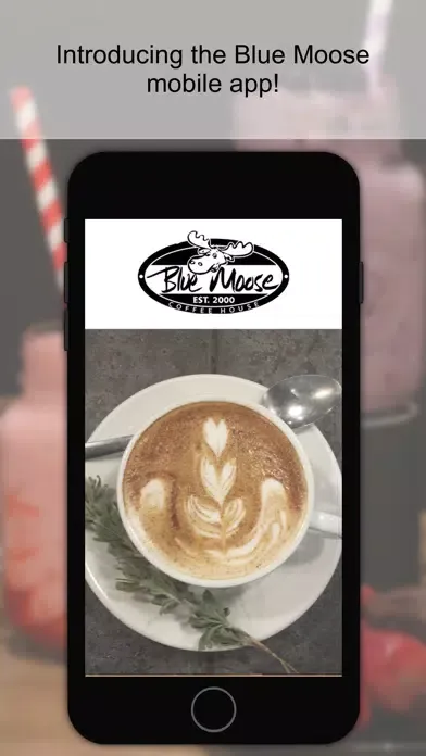 Blue Moose Coffee Screenshots