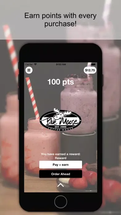 Blue Moose Coffee Screenshots