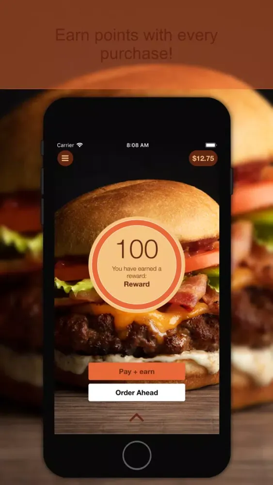 Vera's Burger Shack App应用截图