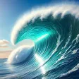 Surf The World Surf The World