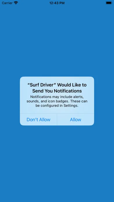 Surf Driver スクリーンショット