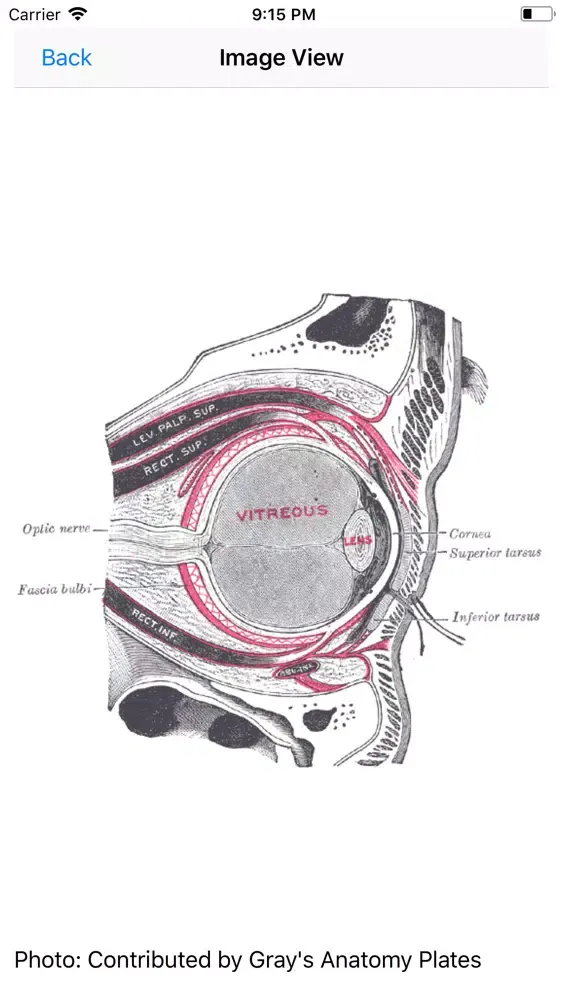 Podiatry (APMLE) Review应用截图