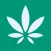Surterra Wellness Loyalty