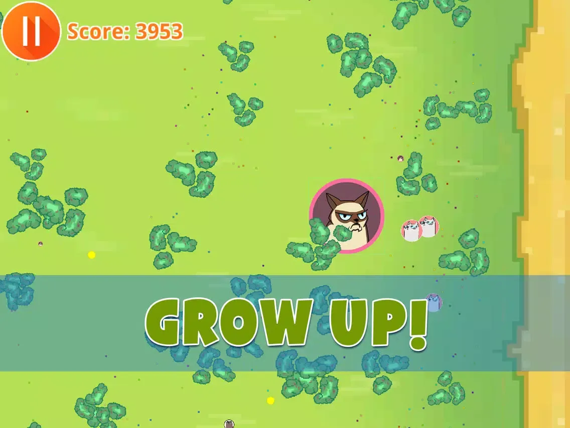 Tangkapan skrin Cat.io FULL iPad 