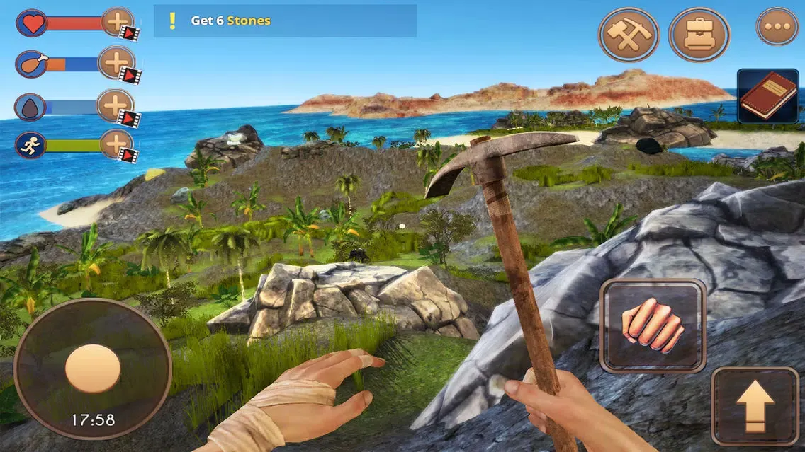صور The Survival: Island Adventure