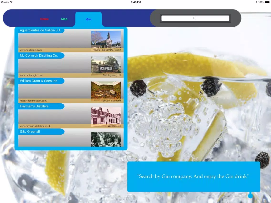 Ảnh chụp màn hình của Gin&You iPad 