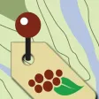 PushPin