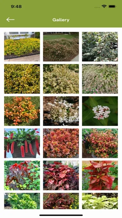 Armitage’s Great Garden Plants স্ক্রিনশট