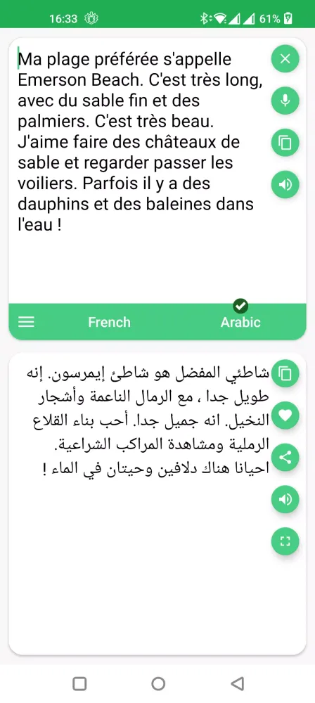 Tangkapan skrin French - Arabic Translator