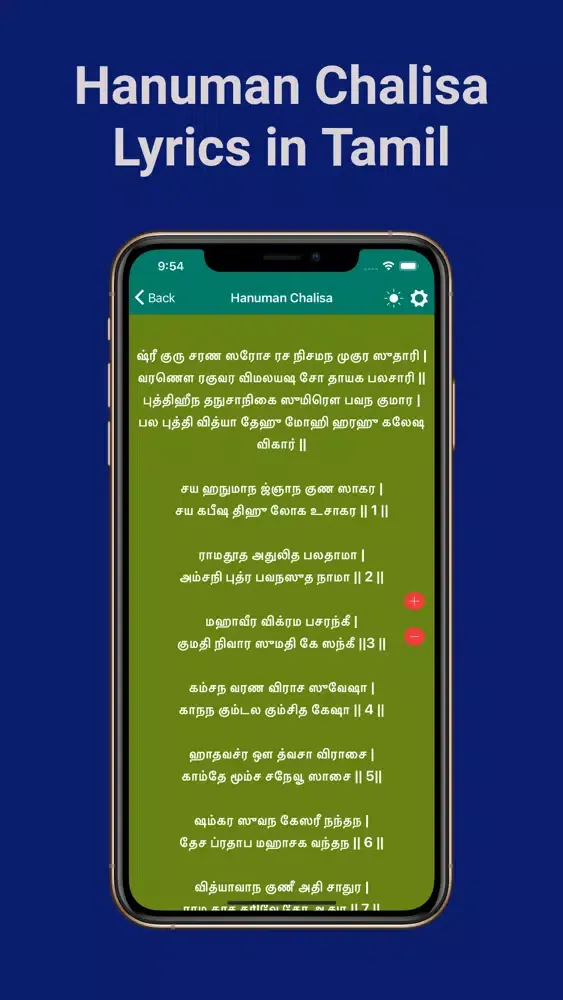 Hanuman Chalisa and Dandakam应用截图
