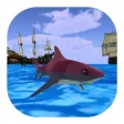 Angry Evolving Shark:Hungry Fish attacking at Beac