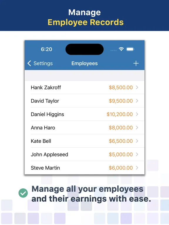 Paystub Builder: PDF Payslips iPad 应用截图