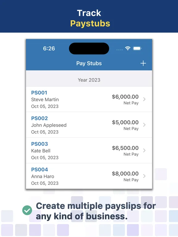 Paystub Builder: PDF Payslips iPad 应用截图