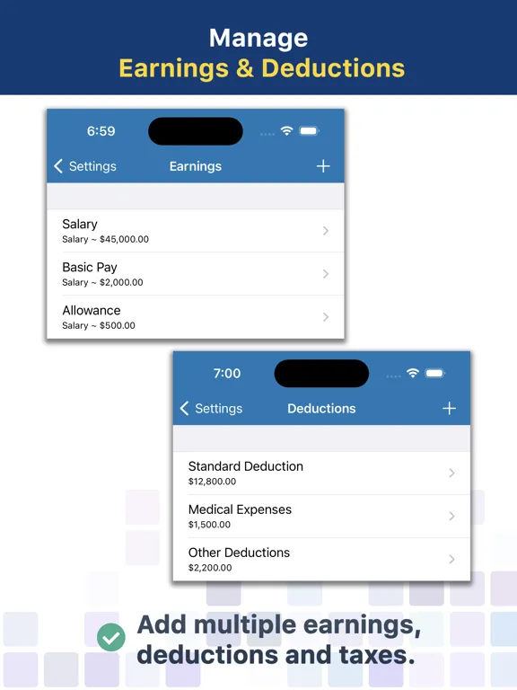 Paystub Builder: PDF Payslips iPad 应用截图