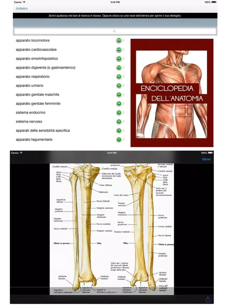 Enciclopedia dell'ANATOMIA - FREE iPad  Screenshots