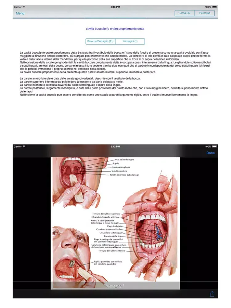 Enciclopedia dell'ANATOMIA - FREE iPad  Screenshots