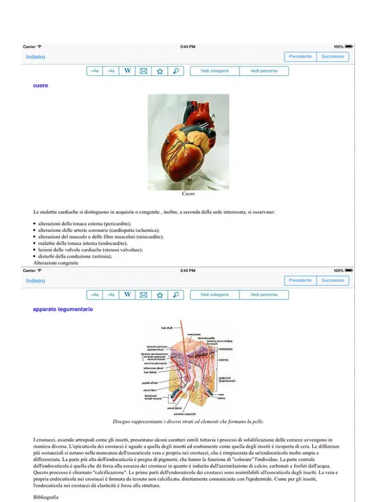 Enciclopedia dell'ANATOMIA - FREE iPad  Screenshots